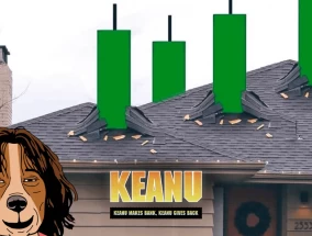 Keanu Skyrockets: 24小时内价格飙升130% -最好的SOL Meme硬币！